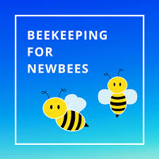 Beekeeping For Newbees