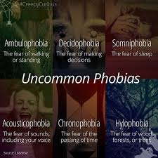 Fears Vs. Phobias - Smart Meme - Curiosity via Relatably.com