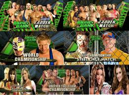Image result for money in the bank 2010 matches