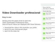 Free Video Downloader chrome extension