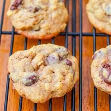 Thick Oatmeal Raisinet Cookies - Sally's Baking Addiction