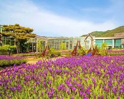 남원 지리산 허브밸리 풍경, AI로 생성