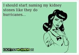 Kidneys can be funny on Pinterest | Kidney Stones, Kidney Stone ... via Relatably.com