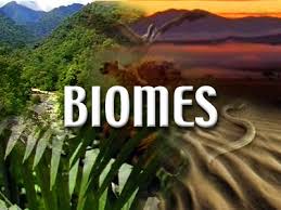 Image result for biome