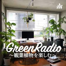 観葉植物を楽しむグリーンラジオ