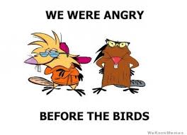 Angry Birds Meme | WeKnowMemes via Relatably.com