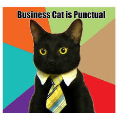 Business Cat Is Punctual by kelso - Meme Center via Relatably.com