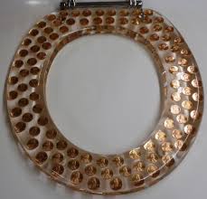 Image result for coin toilet seat