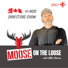 Moose on The Loose