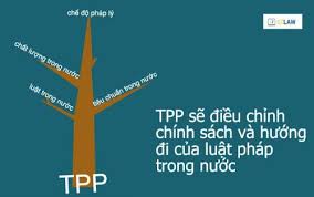 VNTB- Từ TPP đến Công đoàn và sự thúc đẩy