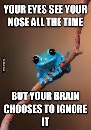Sorry you feel neglected, nose. :( | Small Fact Frog | Know Your Meme via Relatably.com