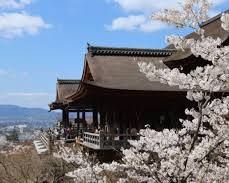 清水寺 桜の画像