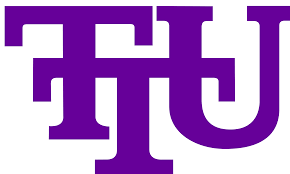 Image result for tennessee tech