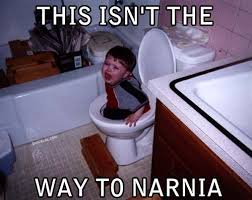kid-in-toilet-isnt-the-way-to-narnia.jpg via Relatably.com