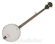 Resultado de imagen de banjo