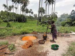 Image result for palm oil productions
