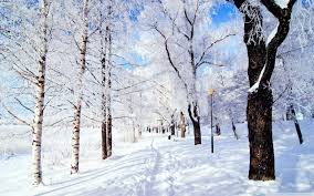 Risultati immagini per winter wonderland
