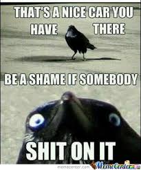 Ravens Are Such Dramatic Little Bastards by getstonedandmeme ... via Relatably.com
