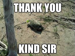 Appreciative Turtle memes | quickmeme via Relatably.com