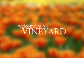 Image result for vineyard