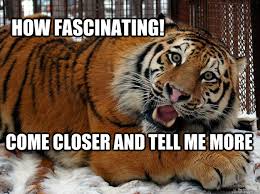 How fascinating! Come closer and tell me more - Fascinated Tiger ... via Relatably.com