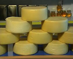kaşar peyniri imalatı ile ilgili görsel sonucu