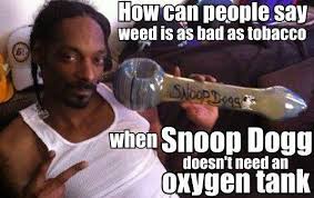 Funny Weed Memes &amp; Stoner Humor. Best Funny Weed Memes. via Relatably.com