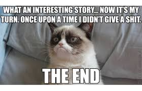 Memes Vault Funny Angry Cat Memes via Relatably.com