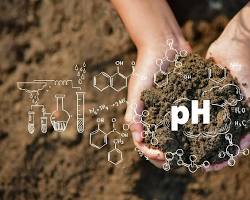 Toprak pH'ı resmi