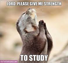 Lord Please Give Me Strength To Study Pictures, Photos, and Images ... via Relatably.com