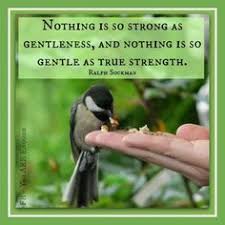 There is great strength in gentleness - a strong voice in subtlety ... via Relatably.com