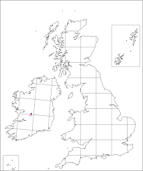 Inula salicina | Online Atlas of the British and Irish Flora