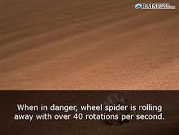 Image result for sand facts