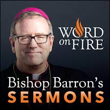 Bishop Robert Barron’s Sermons - Catholic Preaching and Homilies