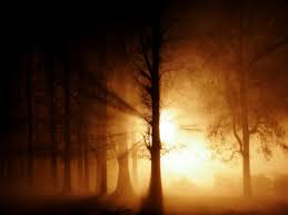 Image result for pictures of lights in darkness
