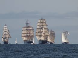 Image result for tall ships race 2015