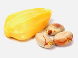 Image result for images of jackfruit