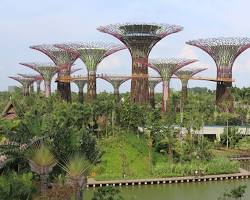 Image of Gardens by the Bay Singapore