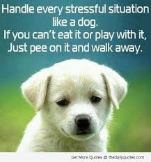 Funny Inspirational Sayings on Pinterest | Staying Positive Quotes ... via Relatably.com