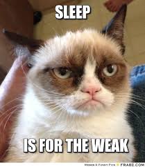 sleep... - grumpy cat Meme Generator Captionator via Relatably.com