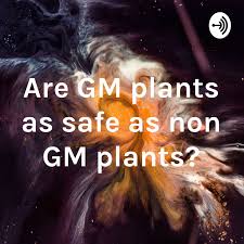 Are GM plants as safe as non GM plants?