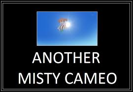 DeviantArt: More Like Misty Cameo Meme 2 by 42Dannybob via Relatably.com