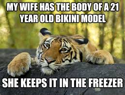 My favorite Terrible Tiger memes. I wanted to share. - Album on Imgur via Relatably.com