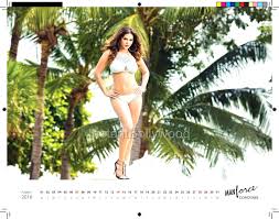 Sunny Leone Manforce calendar launch के लिए चित्र परिणाम