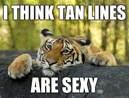 I think tan lines are sexy - Confession Tiger - quickmeme via Relatably.com