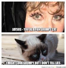 JAYSUS - YOU&#39;RE A FKN GRUMPY CAT... - j Meme Generator Captionator via Relatably.com