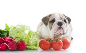 Αποτέλεσμα εικόνας για απαγορευμενες τροφες για σκυλια