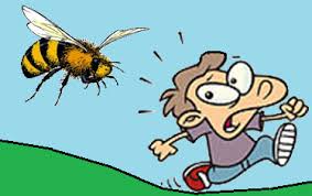 Resultado de imagen de agresividad abejas