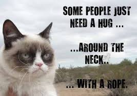 17 Most Funny Grumpy Cat Memes of All Time - Page 4 of 6 - Tons Of ... via Relatably.com