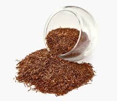 Image result for rooibos